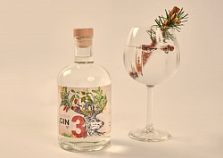 GIN N°3 HIVERNAL